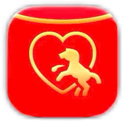 Icon Locket